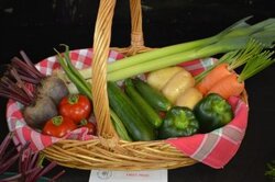 Witherslack Vegetable show