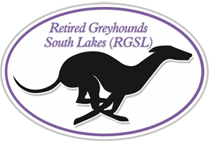Retired greyhounds south lakes